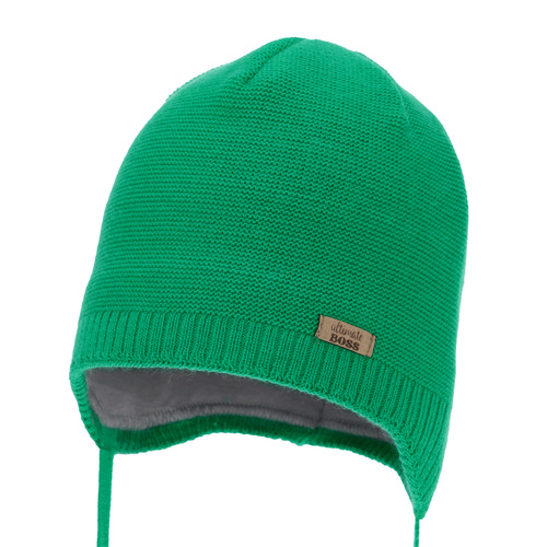 Herbst und Frühlingsmütze für Jungen, grün, wiązana, Valdis