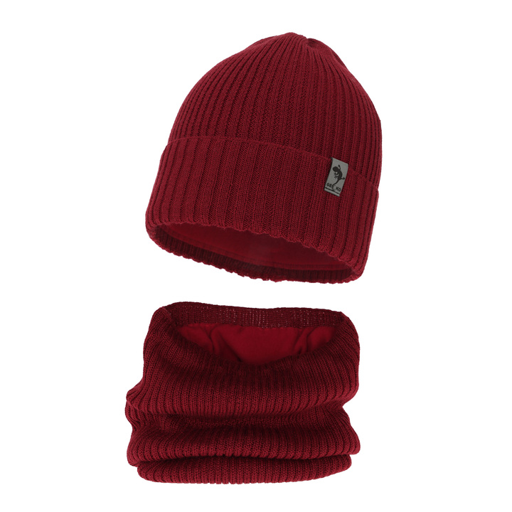 Winterset für Jungen: Mütze und Schlauchschal aus Merinowolle in Grün Gecko